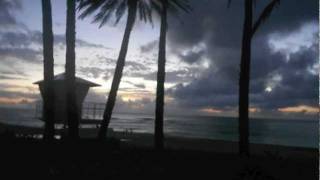 Natural Roots  Kava Song Da 808 Experience III North Shore Edition [upl. by Jenkel]