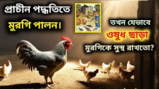 প্রাচীন পদ্ধতিতে মুরগি পালন। তখন যেভাবে ঔষধ ছাড়া প্রাকৃতিকভাবে মুরগিকে সুস্থ রাখতো দেশিমুরগি [upl. by Onailime211]