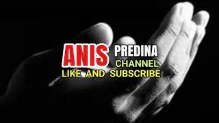 Live Stream Anis Predina [upl. by Cargian]