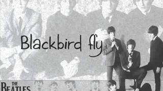 The Beatles  Blackbird lyrics [upl. by Akinhoj131]