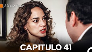 Alas de Amor Capitulo 41 Doblado En Español [upl. by Den]