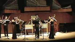 Bach Brandenburg Concerto no 4 1st mvt [upl. by Ssew]