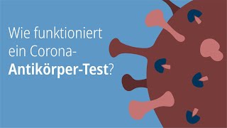 Wie funktioniert ein CoronaAntikörperTest [upl. by Briana746]