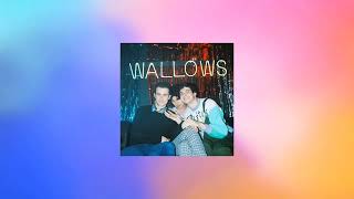 Wallows  Theses Days cover [upl. by Oirasor]