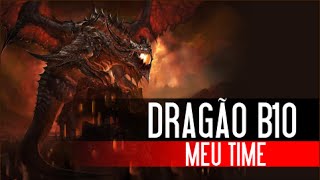 Summoners War BR  DRAGÃO B10  Meu Time [upl. by Llennor]