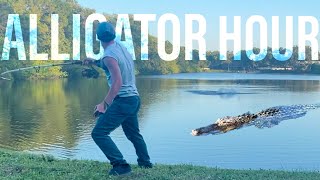 Crazy Alligator Capture Compilation 1 hour of alligators [upl. by Hax]