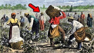 The Slave Story We Were Never Told About [upl. by Brandenburg]