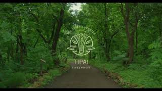 Tipai introduction  Wildlife Luxuries [upl. by Henden770]