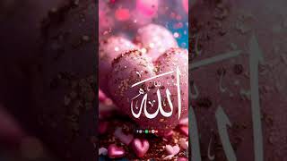 Quran pak ki aath khubsurat baten 🤲♥️ Allah Hu Akbar beautifulwords [upl. by Anigal617]