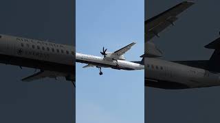 De Havilland Dash 8 Q400 Landing Toronto [upl. by Ahsemik482]