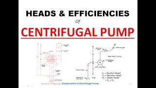 Heads and Efficiencies of Centrifugal Pump  Centrifugal pump  Fluid Mechanics [upl. by Enomaj]