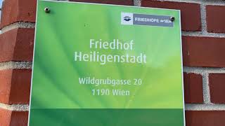 Friedhof Heiligenstadt zu Allerheiligen 2024 [upl. by Ineslta126]