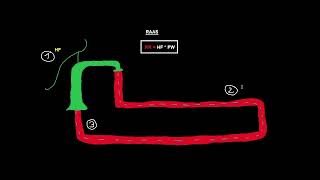 ReninAngiotensinAldosteronSystem einfach erklärt [upl. by Jessamine461]