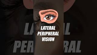 Lateral Peripheral Vision shorts shipramaam [upl. by Llewsor89]