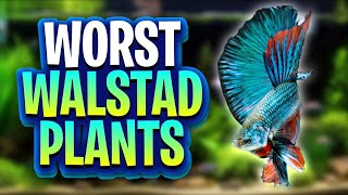 Bad Plants For Walstad Method Tanks Theres Better Options For Your Dirted Planted Tanks [upl. by Sonitnatsok]