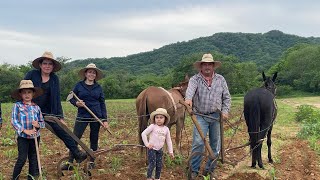 ASÍ TRABAJAMOS EN EL CULTIVO DE NUESTRA SIEMBRA DE MAÍZ 🌽 [upl. by Thorner]