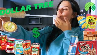 Eating Dollar Store food for 24 HOURS [upl. by Renae]