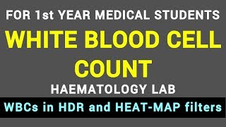 WHITE BLOOD CELL COUNT  HAEMATOLOGY LAB  BLOOD PHYSIOLOGY PRACTICAL [upl. by Hekker550]