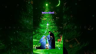 Vinthaina Tharaka Christmas Songchristmaschristmassongsjkchristopherlatestsongsviralvideoshorts [upl. by Norab]