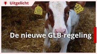 Uitgelicht  Nieuwe GLBregeling [upl. by Mmada]