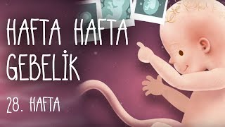 Hafta Hafta Gebelik 28 hafta [upl. by Mehalick129]