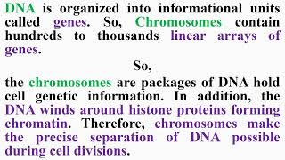 Chromosomes and DNA [upl. by Ayouqes]