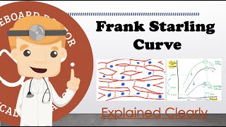 Frank Starling Physiology And Curve Explained  Basics [upl. by Ronalda]