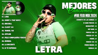 Feid 2024 LetraLyrics  Mejores Canciones de Feid  Grandes Éxitos De Feid  Mix Reggaeton 2024 [upl. by Landahl]