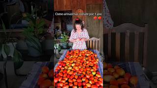 Como eu armazeno tomate por até um ano no congelador 🍅🍅🍅 [upl. by Entroc]