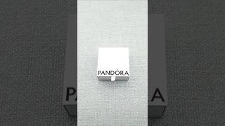 Pandora Moments chain necklace pandora moments [upl. by Elleniad]