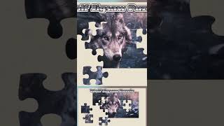 058 Wolf Animal Jigsaw Puzzle [upl. by Hpejsoj]