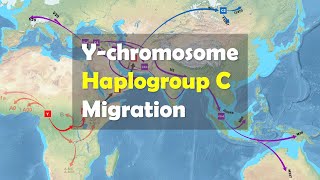 What is the migration route of modern humans with Ychromosome haplogroup C [upl. by Olinde]