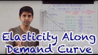 Y1 42 Elasticity Along The Demand Curve [upl. by Tiram]