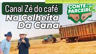 CANAL ZÃ‰ DO CAFÃ‰ TRÃS A COLHEITA DA CANA DE AÃ‡ÃšCAR E SUA VERDADEIRA HISTÃ“RIA NO BRASIL E NO MUNDO [upl. by Iegres]