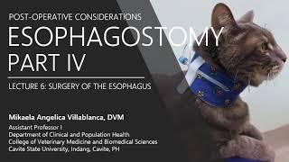 Lecture 610 Esophagostomy IV Post operative Considerations [upl. by Elocal]