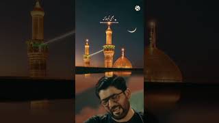 Karbala Jane Walon 2024 Nohay Mir Hasan Mir [upl. by Chase861]