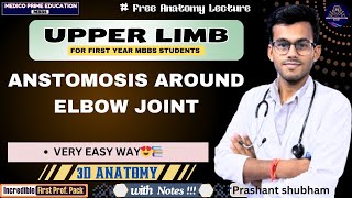 Anastomosis around the Elbow joint  Upper Limb Anatomy  Medico Prime Education mbbs [upl. by Eanram]