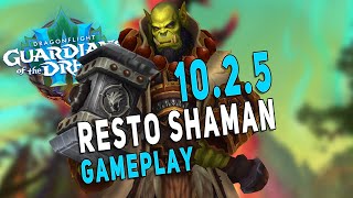 1025 Resto Shaman Gameplay Testing Builds  Heroic Fyrakk PuG [upl. by Rosemary389]