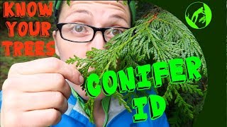 Know Your Trees  Conifer Identification [upl. by Lorenzana]