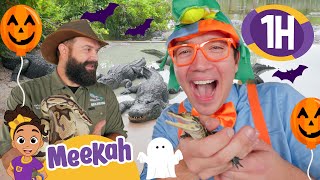 Blippi amp Meekah’s Halloween Fun Monster Trucks amp Spooky Hunts 🎃🚚  1 HR OF MEEKAH [upl. by Ameh893]