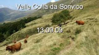 Valle Colla da Sonvico in mtb [upl. by Erastatus938]