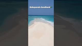 The most popular sandbanks in Zanzibar [upl. by Yren]