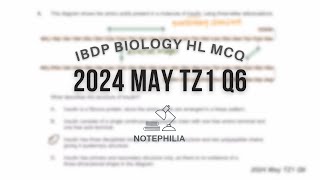 IB Biology HL 2024 May TZ1 Paper 1 Q6 [upl. by Alamak]