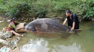 Primitive Life  Smart Girls Build Simple Fish Trap Catch Big Fish  Skill Cooking Fish [upl. by Eelarual]