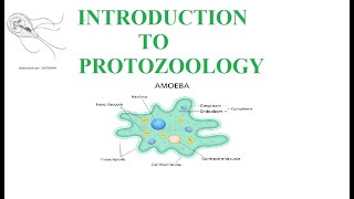 Introduction to Protozoology parasites in protozoolozy [upl. by Jeggar]