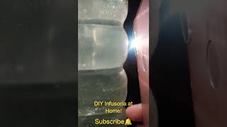 DIY Infusoria Culture at home infusoria 👍 and comment to know how to make it [upl. by Survance]