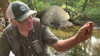 Fossil Collecting with Carl Brett Brachiopods [upl. by Nivlek205]