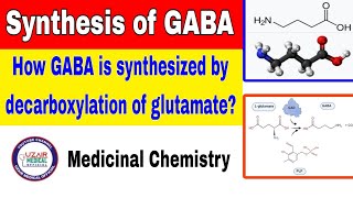 Synthesis of GABA  Medicinal Chemistry [upl. by Daas]