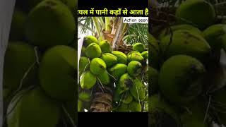 Naral ka pani kaha se aata hai 🫢 shorts facts viralvideo factsinhindi [upl. by Ermine409]