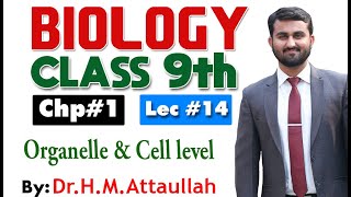 Organelle and cell level levels of organization  Chapter 1  Biology Class 9th  Lec14 [upl. by Orsa]